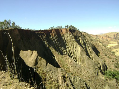 Click to enlarge peruvian